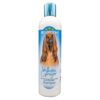 BIO-GROOM WHITE GINGER™ ALOE VERA & CHAMOMILE DOG SHAMPOO